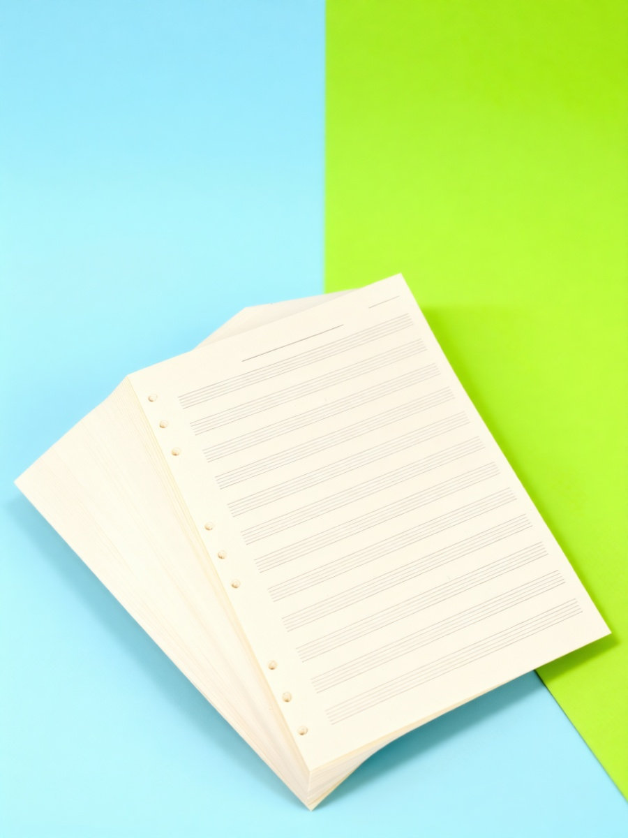 Blank Sheet Music Notebook - 100 Yaprak Müzik Not Defteri Kağıdı,